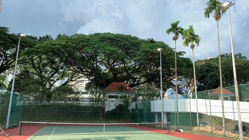 Singapore Tennis Courts