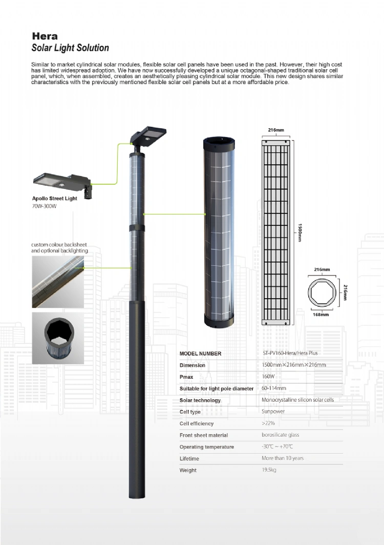 LED Vertical Solar Street Light-Hera